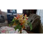 Zdjęcia użytkowników Samsung Galaxy A12 Zdjęcia użytkowników Samsung Galaxy A12