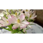 Zdjęcia użytkowników Samsung Galaxy A12 Zdjęcia użytkowników Samsung Galaxy A12