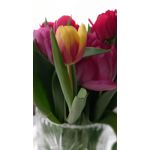 Zdjęcia użytkowników Samsung Galaxy A12 Zdjęcia użytkowników Samsung Galaxy A12