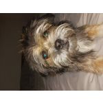 ZDJĘCIA Z TEGO TELEFONU