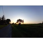 Zdjęcia użytkowników Samsung Galaxy A41 Zdjęcia użytkowników Samsung Galaxy A41