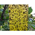 Zdjęcia użytkowników Samsung Galaxy A41 Zdjęcia użytkowników Samsung Galaxy A41