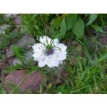 Zdjęcia użytkowników Samsung Galaxy A41 Zdjęcia użytkowników Samsung Galaxy A41