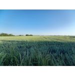 Zdjęcia użytkowników Samsung Galaxy A41 Zdjęcia użytkowników Samsung Galaxy A41