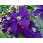 Zdjęcia użytkowników Samsung Galaxy A41 Zdjęcia użytkowników Samsung Galaxy A41