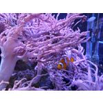 Zdjęcia użytkowników Samsung Galaxy A41 Zdjęcia użytkowników Samsung Galaxy A41