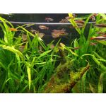 Zdjęcia użytkowników Samsung Galaxy A41 Zdjęcia użytkowników Samsung Galaxy A41