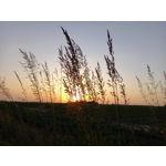 Zdjęcia użytkowników Samsung Galaxy A41 Zdjęcia użytkowników Samsung Galaxy A41