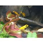 Zdjęcia użytkowników Samsung Galaxy A41 Zdjęcia użytkowników Samsung Galaxy A41