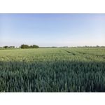 Zdjęcia użytkowników Samsung Galaxy A41 Zdjęcia użytkowników Samsung Galaxy A41