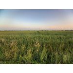 Zdjęcia użytkowników Samsung Galaxy A41 Zdjęcia użytkowników Samsung Galaxy A41