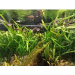 Zdjęcia użytkowników Samsung Galaxy A41 Zdjęcia użytkowników Samsung Galaxy A41