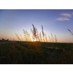 Zdjęcia użytkowników Samsung Galaxy A41 Zdjęcia użytkowników Samsung Galaxy A41