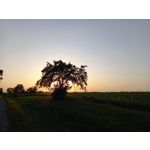 Zdjęcia użytkowników Samsung Galaxy A41 Zdjęcia użytkowników Samsung Galaxy A41