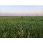 Zdjęcia użytkowników Samsung Galaxy A41 Zdjęcia użytkowników Samsung Galaxy A41