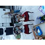 Zdjęcia użytkowników Samsung Galaxy A5 Zdjęcia użytkowników Samsung Galaxy A5