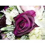 Zdjęcia użytkowników Samsung Galaxy A5 Zdjęcia użytkowników Samsung Galaxy A5