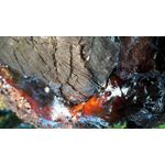 Zdjęcia użytkowników Samsung Galaxy A5 Zdjęcia użytkowników Samsung Galaxy A5