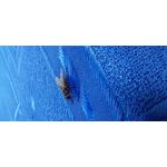 Zdjęcia użytkowników Samsung Galaxy A52