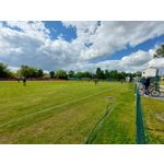 Zdjęcia użytkowników Samsung Galaxy A52