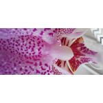 Zdjęcia użytkowników Samsung Galaxy A52s 5G Dual SIM