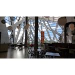 Zdjęcia użytkowników Samsung Galaxy A52s 5G