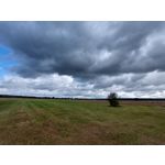 Zdjęcia użytkowników Samsung Galaxy A52s 5G