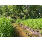 Zdjęcia użytkowników Samsung Galaxy A6+ Dual SIM