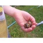 Zdjęcia użytkowników Samsung Galaxy A6+ Dual SIM