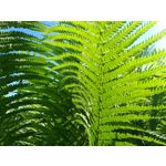 Zdjęcia użytkowników Samsung Galaxy A6+ Dual SIM