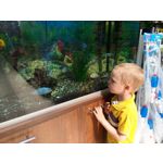 Zdjęcia użytkowników Samsung Galaxy A6+ Dual SIM