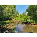 Zdjęcia użytkowników Samsung Galaxy A6+ Dual SIM