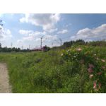 Zdjęcia użytkowników Samsung Galaxy A6+ Dual SIM