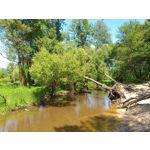 Zdjęcia użytkowników Samsung Galaxy A6+ Dual SIM