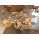 Zdjęcia użytkowników Samsung Galaxy A6+ Dual SIM