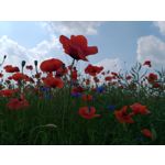 Zdjęcia użytkowników Samsung Galaxy A6+ Dual SIM