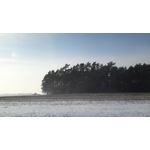 Zdjęcia użytkowników Samsung Galaxy A7 2016