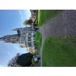 ZDJĘCIA Z TEGO TELEFONU