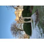 Zdjęcia użytkowników Samsung Galaxy A7 2018