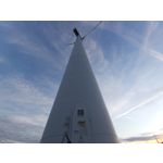 Zdjęcia użytkowników Samsung Galaxy A70 Zdjęcia użytkowników Samsung Galaxy A70