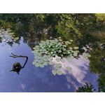 Zdjęcia użytkowników Samsung Galaxy A70 Zdjęcia użytkowników Samsung Galaxy A70