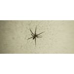 Zdjęcia użytkowników Samsung Galaxy A70 Zdjęcia użytkowników Samsung Galaxy A70