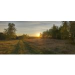 Zdjęcia użytkowników Samsung Galaxy A70 Zdjęcia użytkowników Samsung Galaxy A70