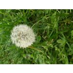 Zdjęcia użytkowników Samsung Galaxy A70 Zdjęcia użytkowników Samsung Galaxy A70