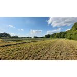 Zdjęcia użytkowników Samsung Galaxy A70 Zdjęcia użytkowników Samsung Galaxy A70