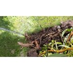 Zdjęcia użytkowników Samsung Galaxy A70 Zdjęcia użytkowników Samsung Galaxy A70