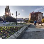 Zdjęcia użytkowników Samsung Galaxy A70 Zdjęcia użytkowników Samsung Galaxy A70