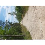 Zdjęcia użytkowników Samsung Galaxy A70 Zdjęcia użytkowników Samsung Galaxy A70