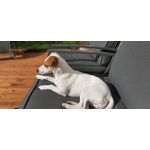 Zdjęcia użytkowników Samsung Galaxy A70 Zdjęcia użytkowników Samsung Galaxy A70