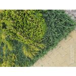 Zdjęcia użytkowników Samsung Galaxy A70 Zdjęcia użytkowników Samsung Galaxy A70